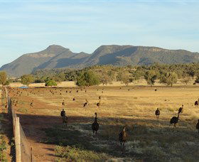Emu Logic - Accommodation Adelaide 0