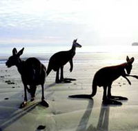 Hibiscus Coast - Accommodation Adelaide