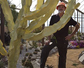 Cactus Country - Accommodation Adelaide 0