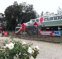 The Big Strawberry - Accommodation Adelaide