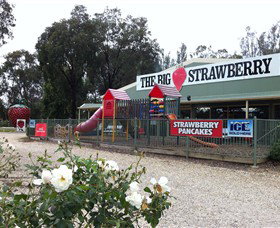 The Big Strawberry - Accommodation Adelaide 0