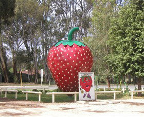 The Big Strawberry - Accommodation Adelaide 1