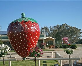 The Big Strawberry - Accommodation Adelaide 2