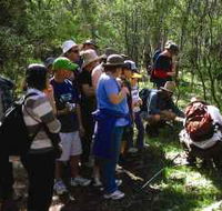Warrumbungle National Park Discovery Program - Accommodation Adelaide