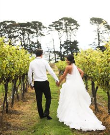 Quoin Hill Vineyard - Accommodation Adelaide 2