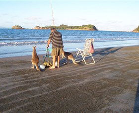 Illawong Beach QLD Accommodation Adelaide
