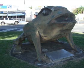 Big Cane Toad - Accommodation Adelaide 0