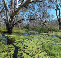 Macquarie Valley Trails - Accommodation Adelaide