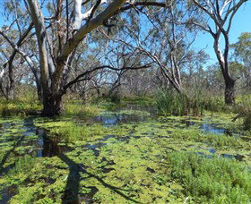 Macquarie Valley Trails - Accommodation Adelaide 0