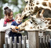 Taronga Western Plains Zoo Dubbo - Accommodation Adelaide