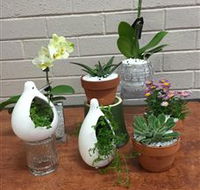 Cobram Florist - Accommodation Adelaide