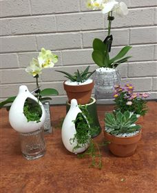 Cobram Florist - Accommodation Adelaide 0