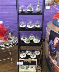 Cobram Florist - Accommodation Adelaide 3