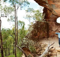 Pilliga National Park - Accommodation Adelaide