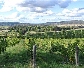 Sassy Wines - Accommodation Adelaide 0