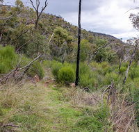 Lynchs loop trail - Accommodation Adelaide