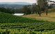 Granite Hills Winery - thumb 0