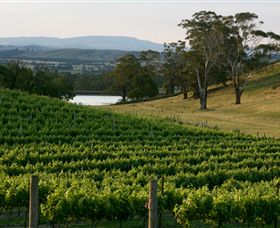 Granite Hills Winery - Accommodation Adelaide 0