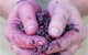 Granite Hills Winery - thumb 3