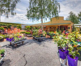 Springhill Nursery - Accommodation Adelaide 2