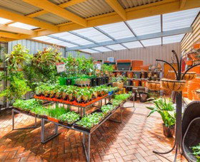 Springhill Nursery - Accommodation Adelaide 3