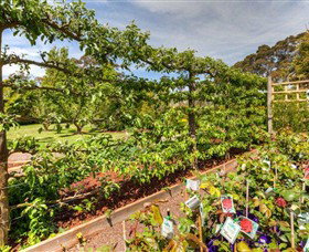 Springhill Nursery - Accommodation Adelaide 5