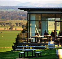 Tallis Wine Cellar Door - Accommodation Adelaide