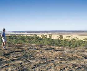 Marshall Rock - Accommodation Adelaide 1