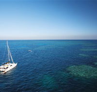 Bait Reef and Garys Lagoon Dive Site - Accommodation Adelaide