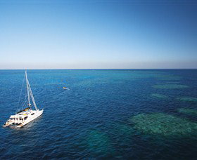 Bait Reef And Garys Lagoon Dive Site - Accommodation Adelaide 0