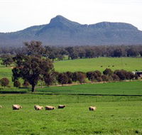 The Rock Nature Reserve - Accommodation Adelaide