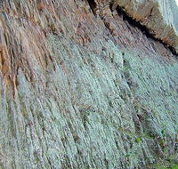 The Rock Nature Reserve - Kengal Aboriginal Place - Accommodation Adelaide