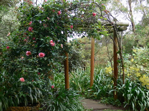 Timandra By The Sea - Accommodation Adelaide 9