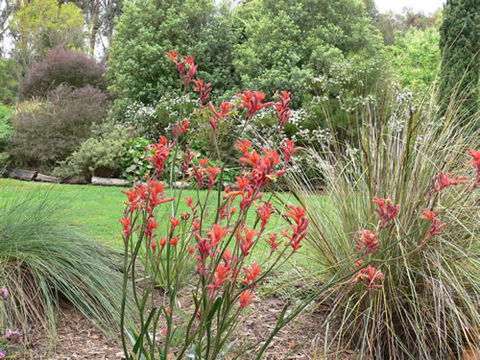 Timandra By The Sea - Accommodation Adelaide 11