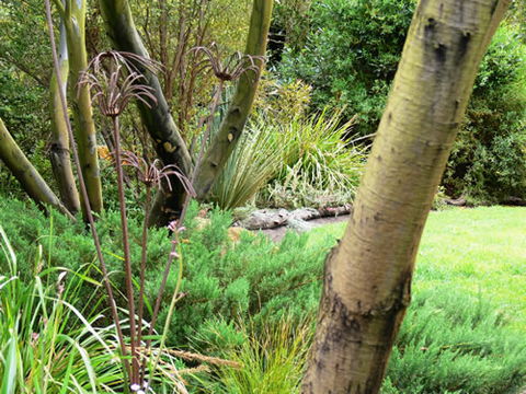 Timandra By The Sea - Accommodation Adelaide 12