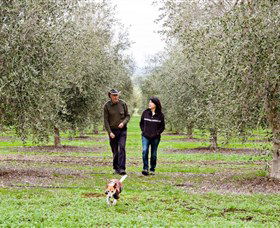 Wollundry Grove Olives - Accommodation Adelaide 3