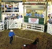 Gracemere Exhibition Complex - Accommodation Adelaide