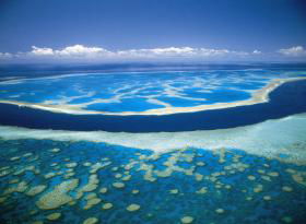 Hardy Reef - Accommodation Adelaide 0