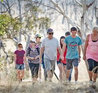 Winton Wetlands Reserve - Accommodation Adelaide
