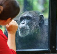 The Rockhampton Zoo - Accommodation Adelaide