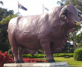Rockhampton Bull Statues - Accommodation Adelaide 0