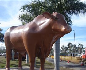 Rockhampton Bull Statues - Accommodation Adelaide 3
