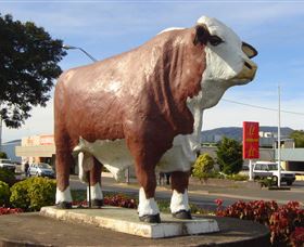 Rockhampton Bull Statues - Accommodation Adelaide 2