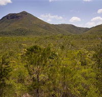 Kutini-Payamu Iron Range National Park CYPAL - Accommodation Adelaide