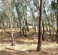 Chiltern-Mt Pilot National Park - Accommodation Adelaide