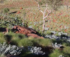 Camel Trail, Millstream-Chichester National Park - Accommodation Adelaide 2