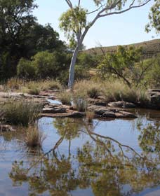 Camel Trail, Millstream-Chichester National Park - Accommodation Adelaide 3