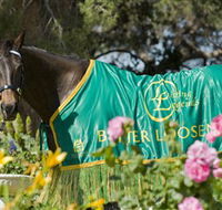Living Legends The International Home of Rest for Champion Horses - Accommodation Adelaide
