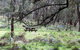 Fourth Crossing Picnic Area - thumb 0