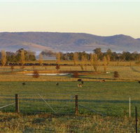 Holbrook Landcare Self-Drive Eco Tour - Accommodation Adelaide